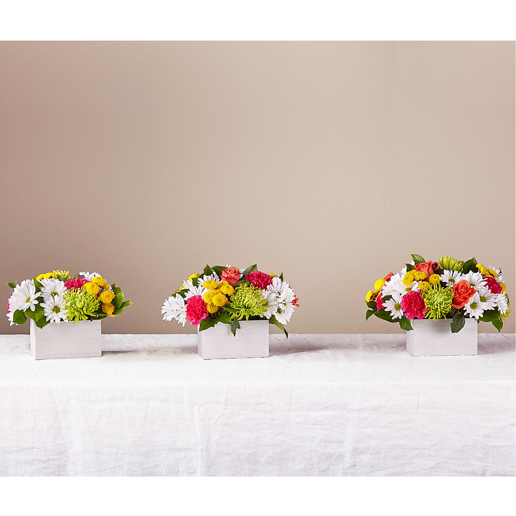Sorbet Bouquet – BLOOM & CO, Gulfport FL