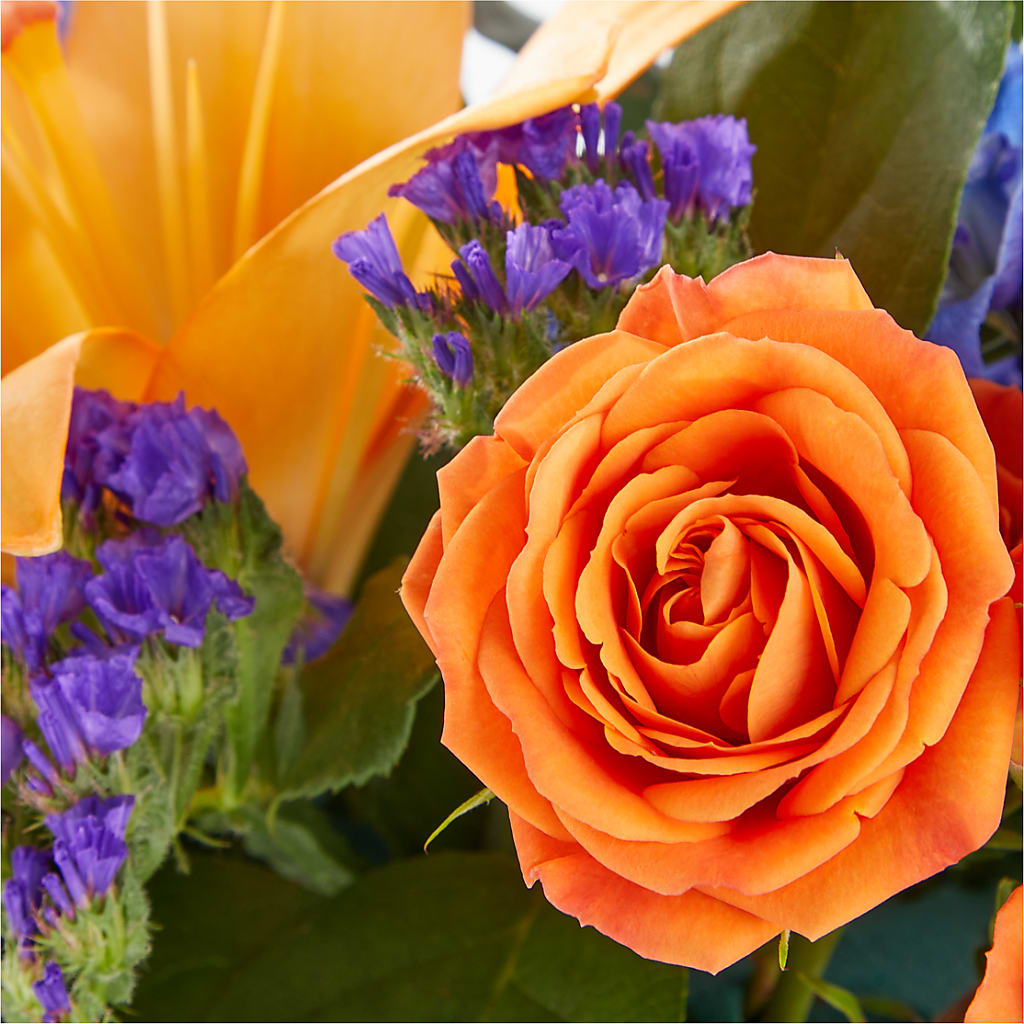 Radiant Citrus Box Bouquet – BLOOM & CO, Gulfport FL