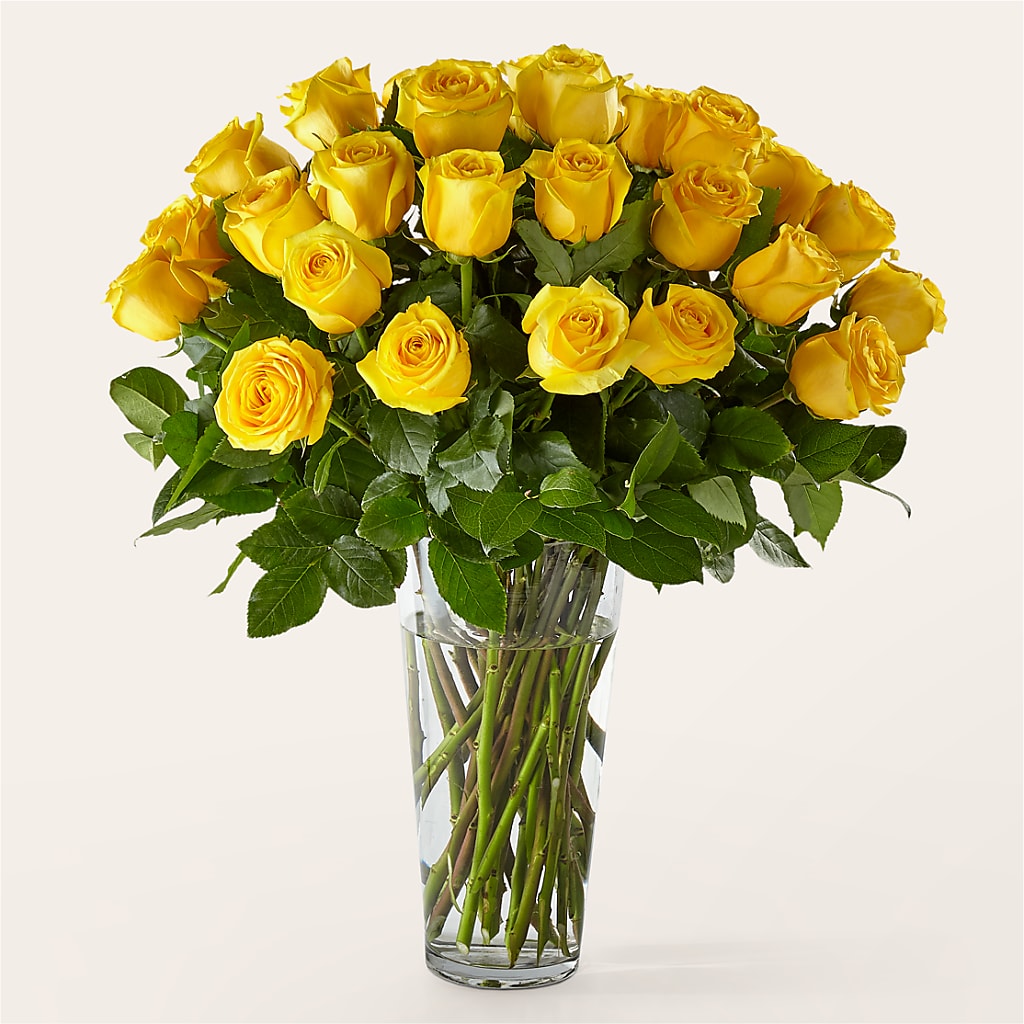Long Stem Yellow Rose Bouquet – BLOOM & CO, Gulfport FL