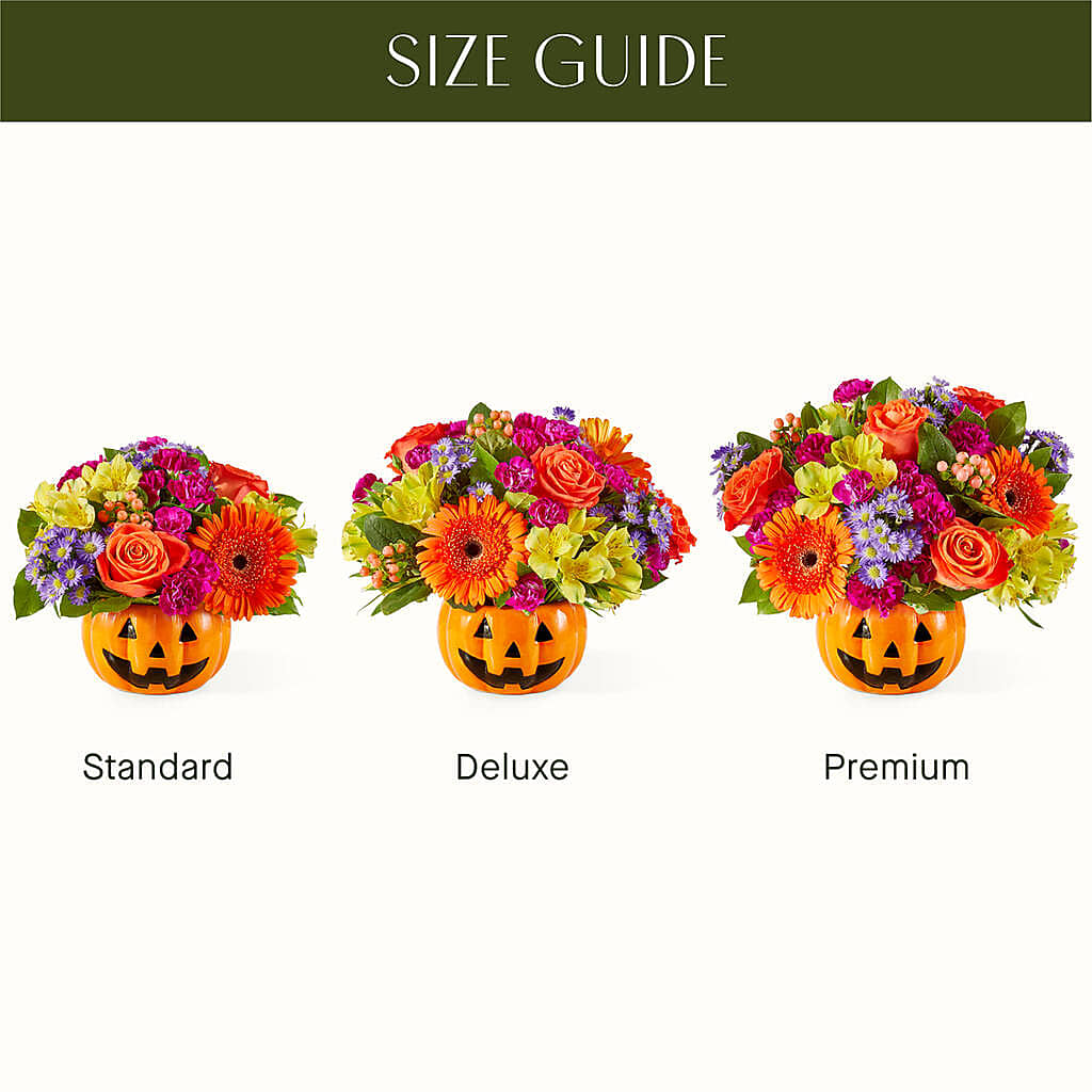 Tricks & Treats Pumpkin – BLOOM & CO, Gulfport FL