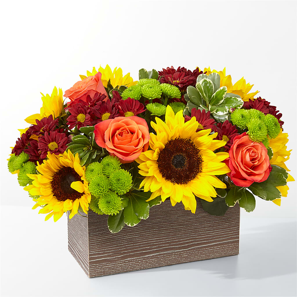 Happy Harvest Garden – BLOOM & CO, Gulfport FL