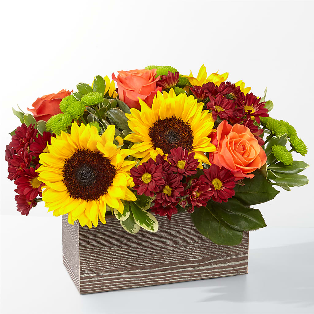 Happy Harvest Garden – BLOOM & CO, Gulfport FL