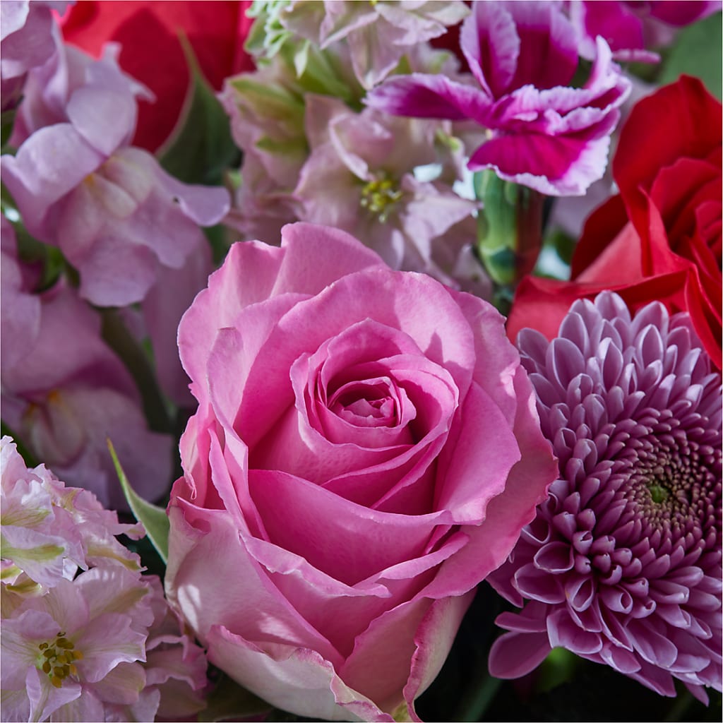 Better Together - A Luxury Florist Original – BLOOM & CO, Gulfport FL