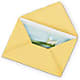 Greeting Card – BLOOM & CO, Gulfport FL