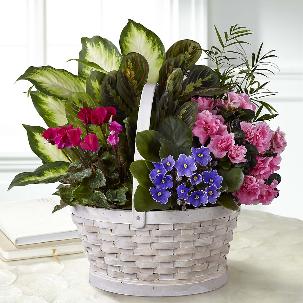 Peaceful Garden Planter – BLOOM & CO, Gulfport FL