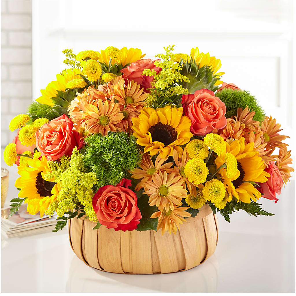 Harvest Sunflower Basket – BLOOM & CO, Gulfport FL