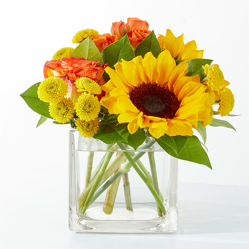 Picnic in the Park Bouquet – BLOOM & CO, Gulfport FL