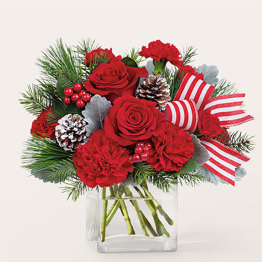 Baking Spirits Bright Bouquet – BLOOM & CO, Gulfport FL