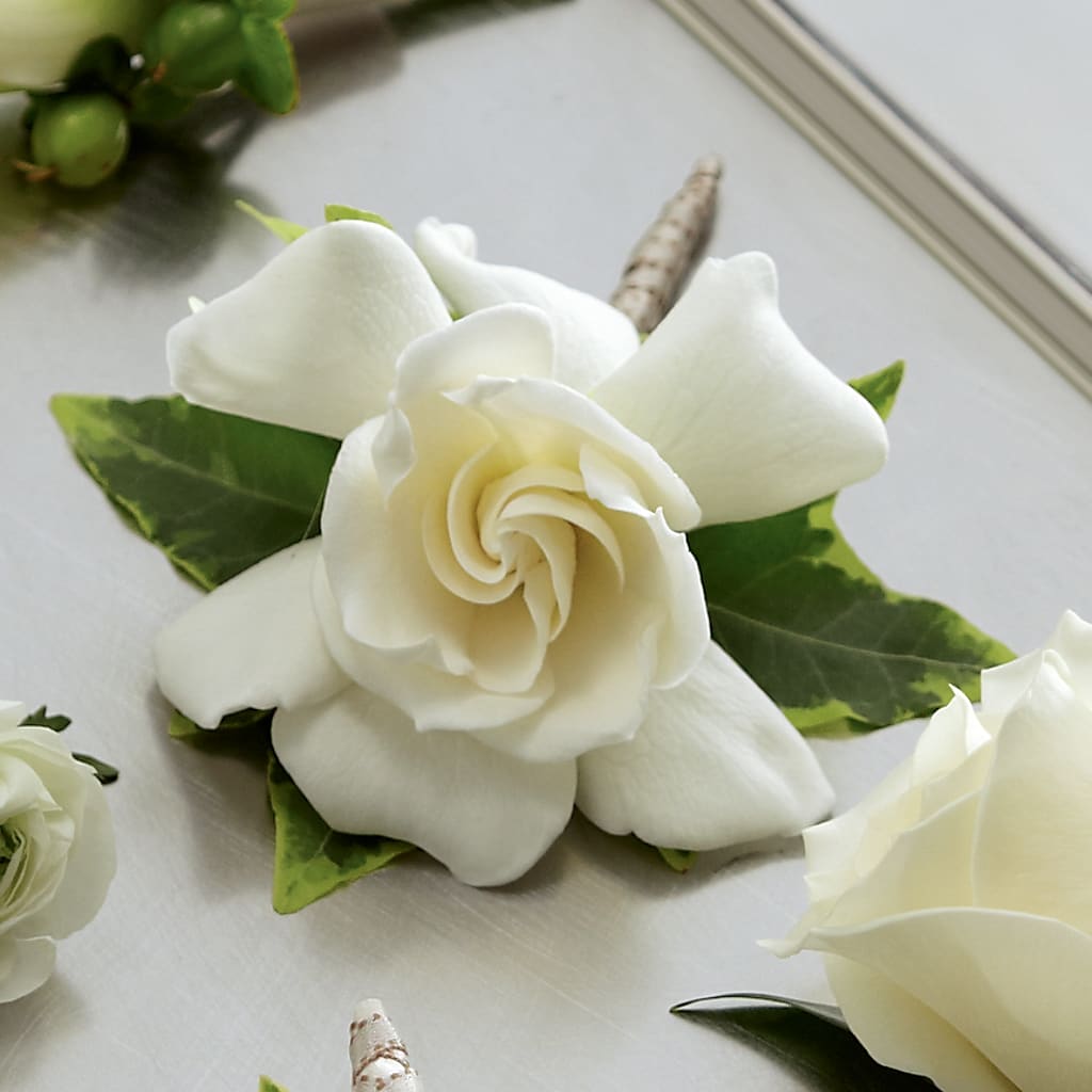 Gardenia Boutonniere – BLOOM & CO, Gulfport FL