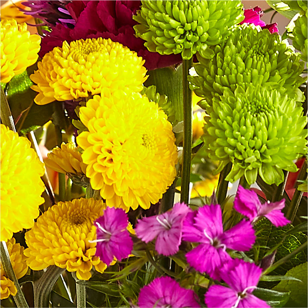 Bold & Bright – A Florist Original – BLOOM & CO, Gulfport FL