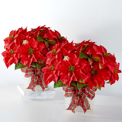 Happiest Holidays Poinsettia Bundle – BLOOM & CO, Gulfport FL