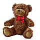 Adorable Plush Bear – BLOOM & CO, Gulfport FL