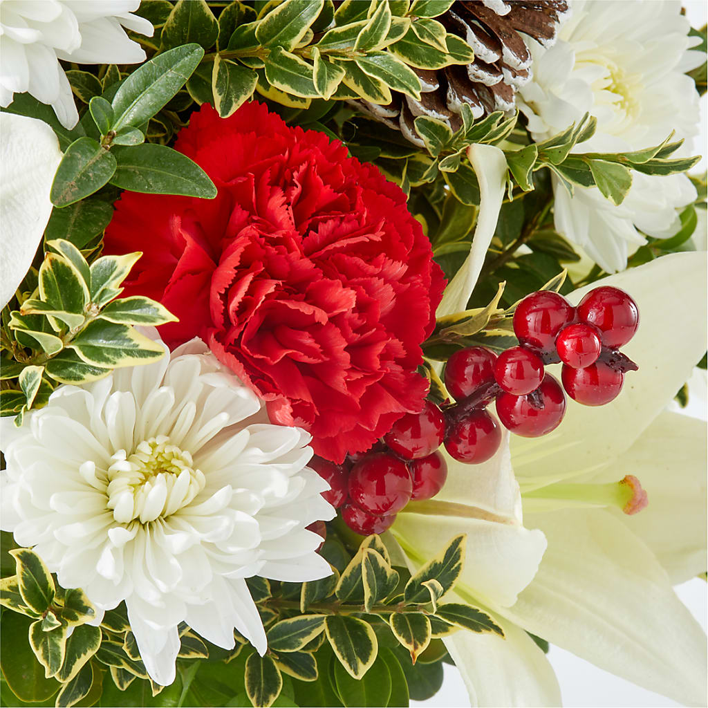 Festive Moments Tree – BLOOM & CO, Gulfport FL