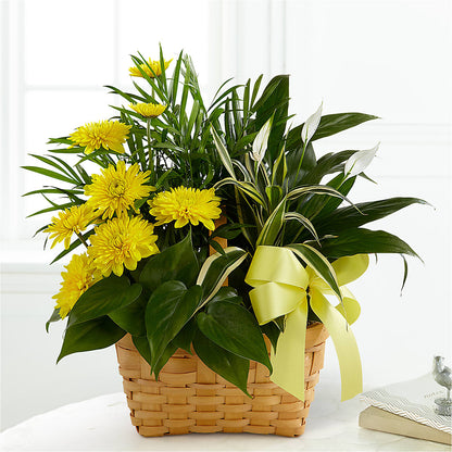 Loving Light Dishgarden – BLOOM & CO, Gulfport FL