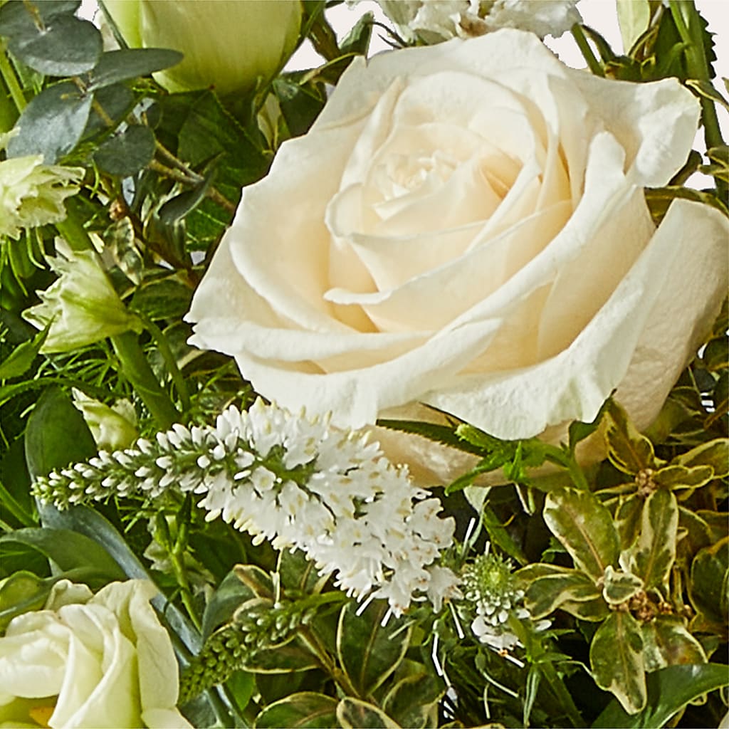Cashmere Bouquet – BLOOM & CO, Gulfport FL