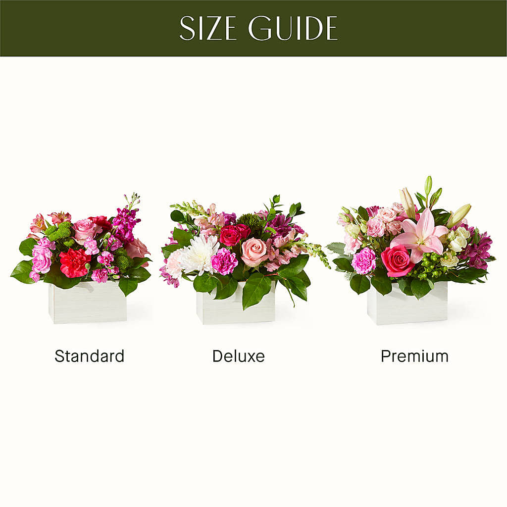Sweetberry Box – A Florist Original – BLOOM & CO, Gulfport FL