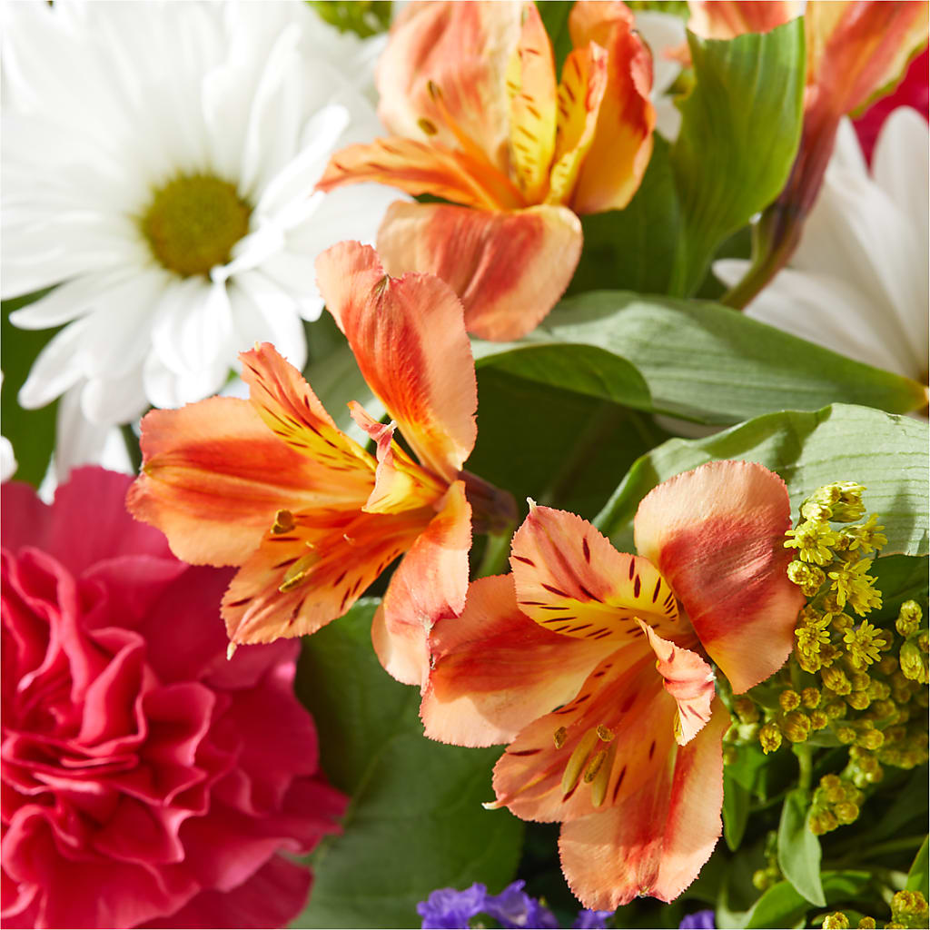 Oopsie Daisy Box Bouquet – BLOOM & CO, Gulfport FL