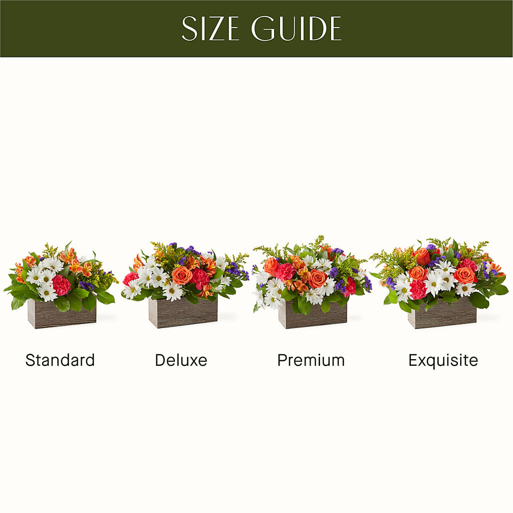 Oopsie Daisy Box Bouquet – BLOOM & CO, Gulfport FL