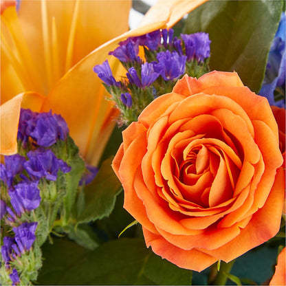 Radiant Citrus Box Bouquet – BLOOM & CO, Gulfport FL