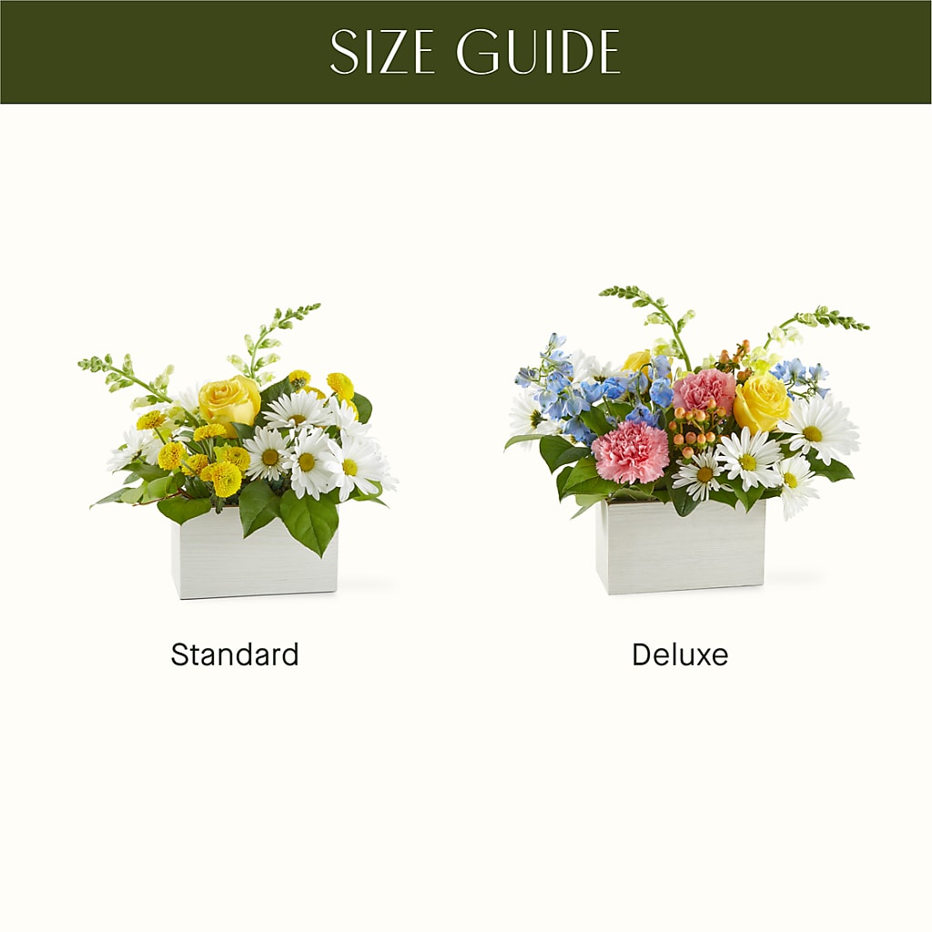 Sun Salutation Box Bouquet – BLOOM & CO, Gulfport FL