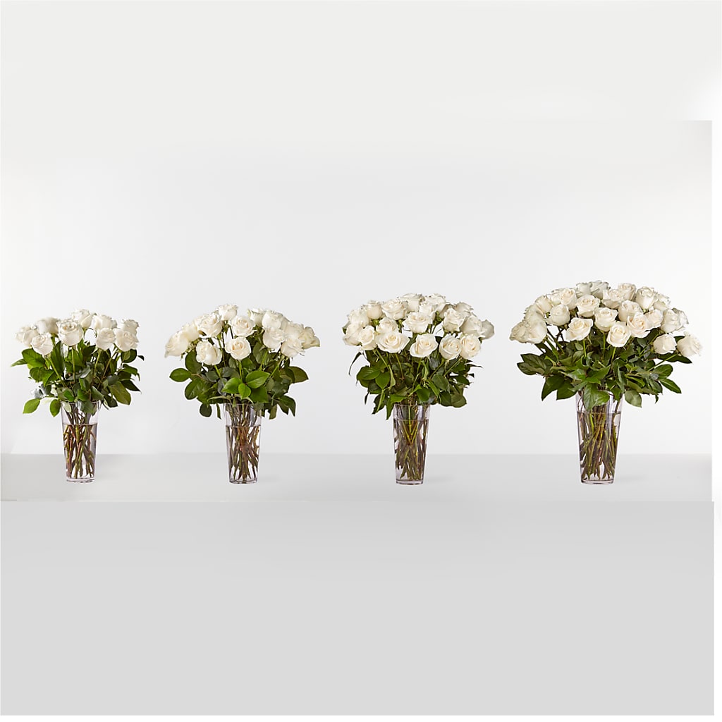 Long Stem White Rose Bouquet – BLOOM & CO, Gulfport FL
