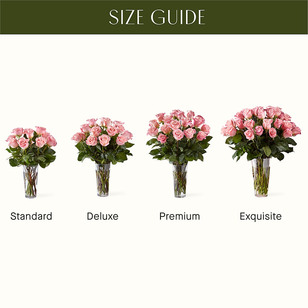 Long Stem Pink Rose Bouquet – BLOOM & CO, Gulfport FL