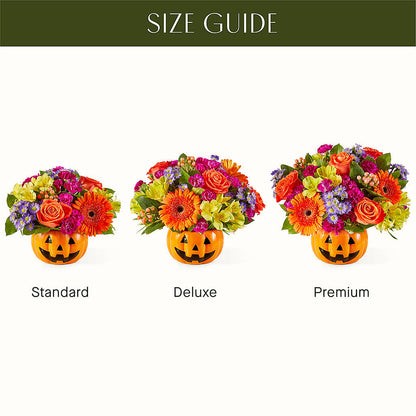 Tricks & Treats Pumpkin – BLOOM & CO, Gulfport FL