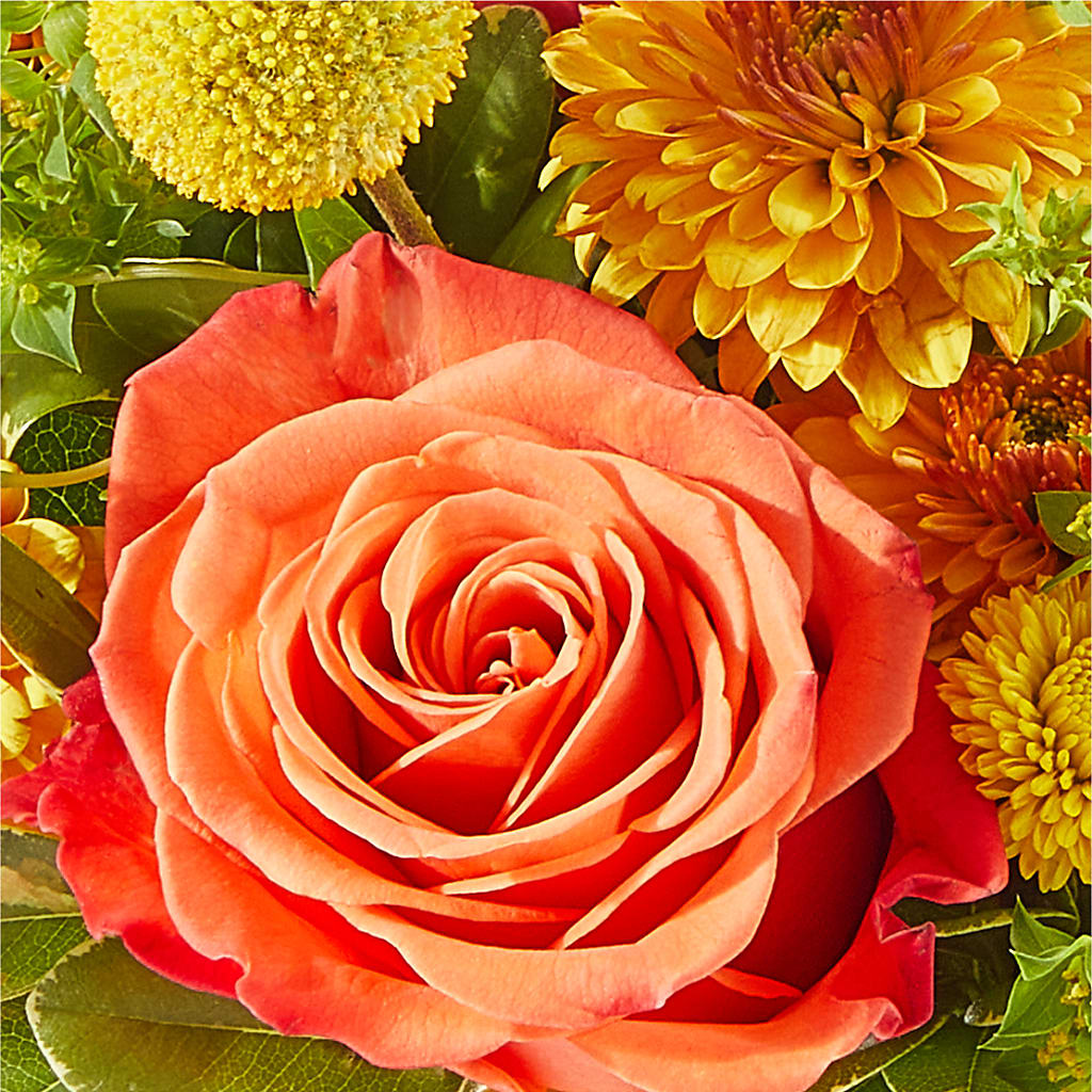 Gourdgeous Pumpkin – BLOOM & CO, Gulfport FL