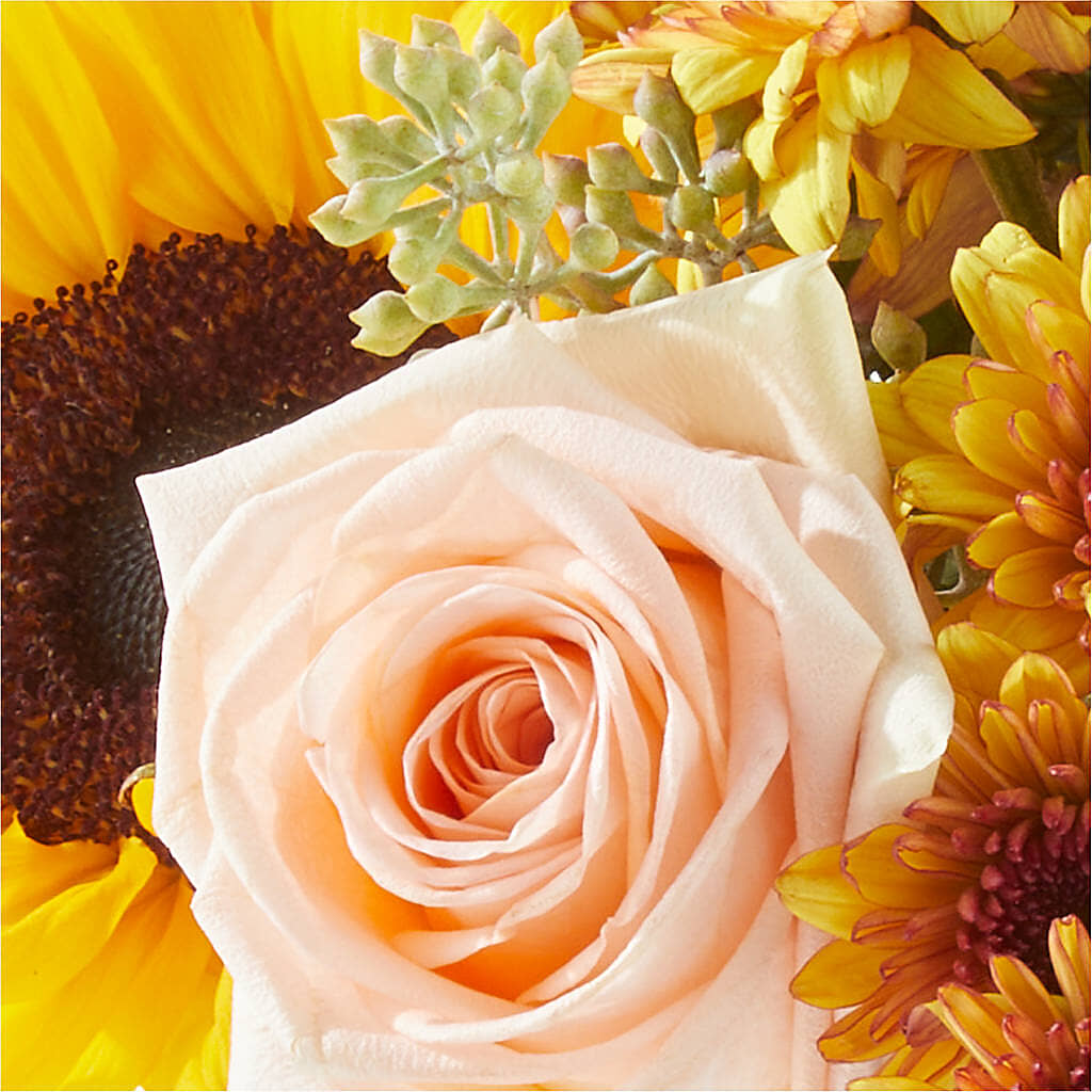 Pumpkin to Talk About Bouquet – BLOOM & CO, Gulfport FL