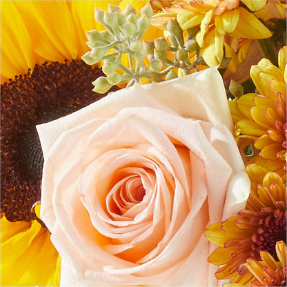 Pumpkin to Talk About Bouquet – BLOOM & CO, Gulfport FL