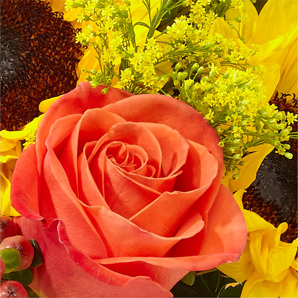 Pick of the Patch Pumpkin Bouquet – BLOOM & CO, Gulfport FL
