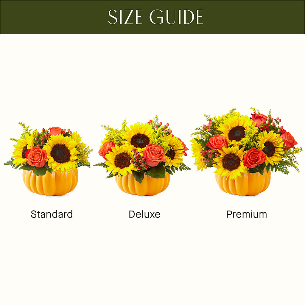 Pick of the Patch Pumpkin Bouquet – BLOOM & CO, Gulfport FL