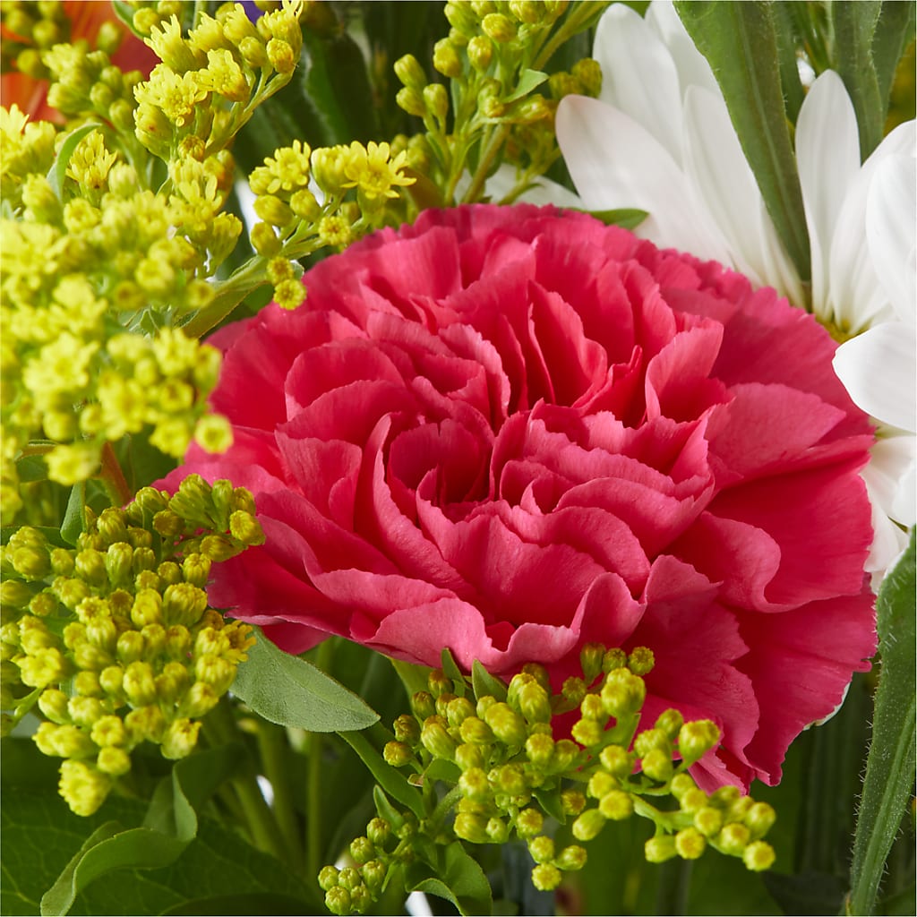 Oopsie Daisy Bouquet – BLOOM & CO, Gulfport FL