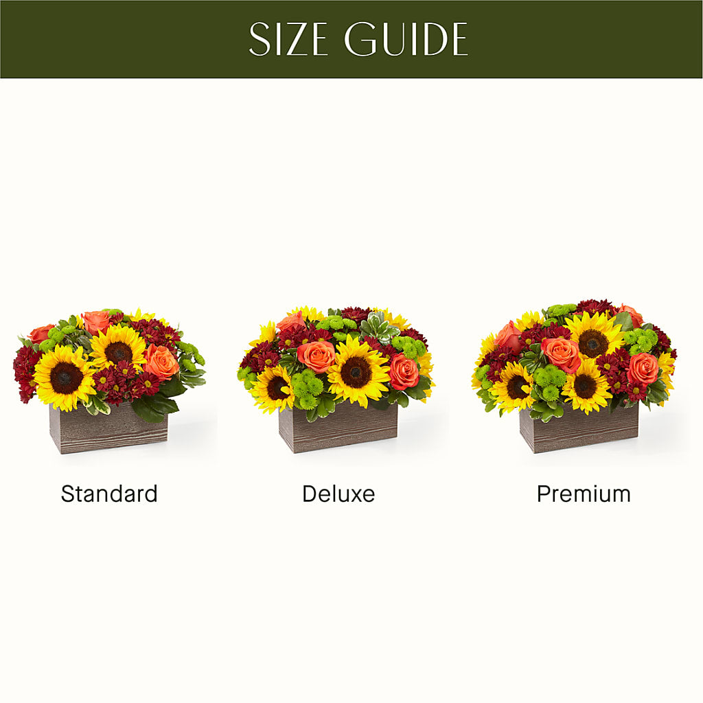 Happy Harvest Garden – BLOOM & CO, Gulfport FL