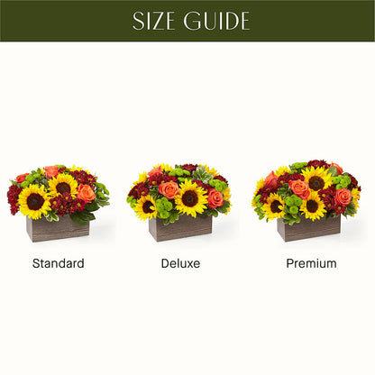 Happy Harvest Garden – BLOOM & CO, Gulfport FL