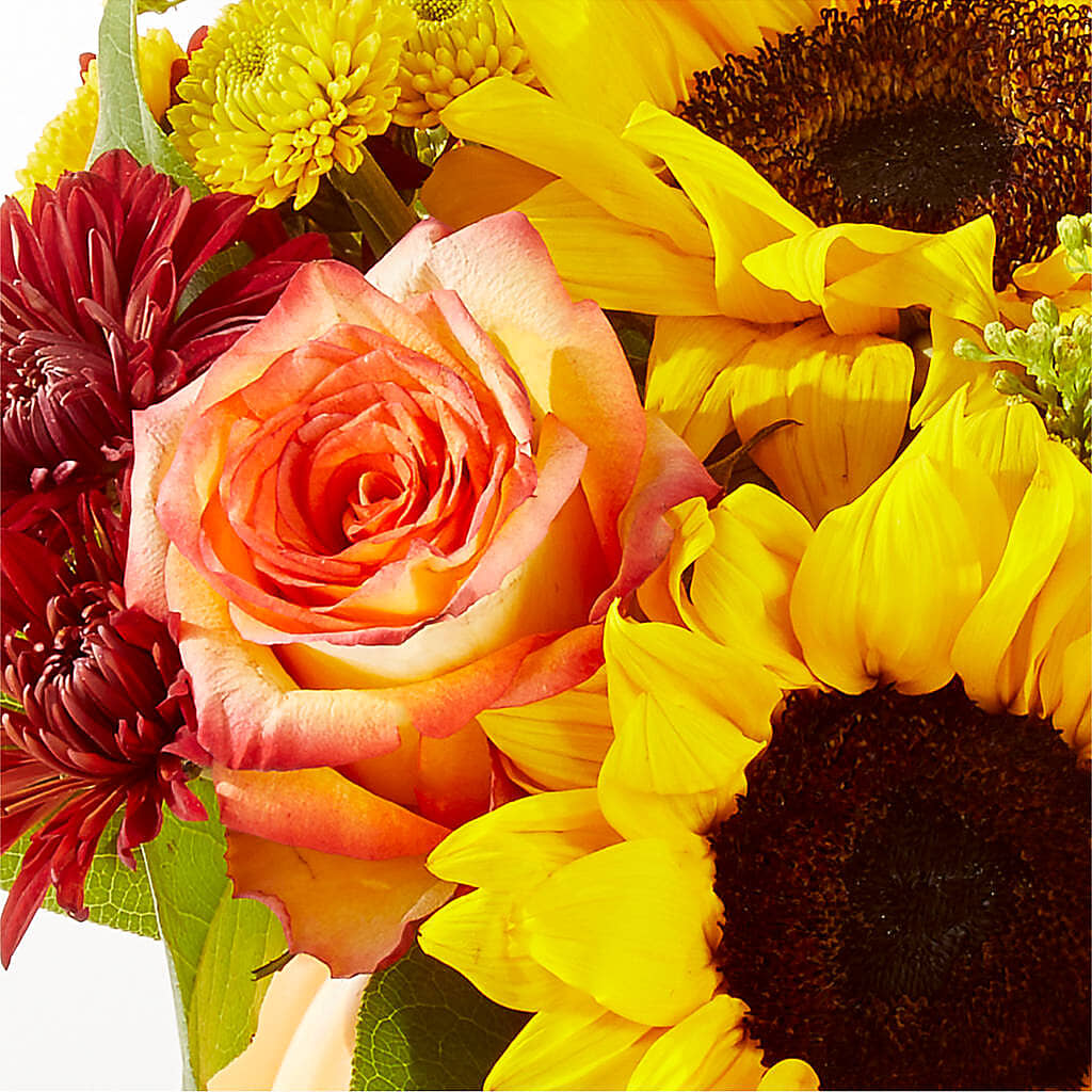 Golden Gourd Pumpkin Bouquet – BLOOM & CO, Gulfport FL