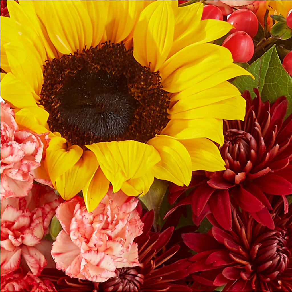 Fresh Cider Bouquet – BLOOM & CO, Gulfport FL