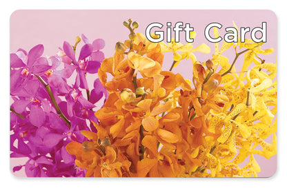 Gift Card – BLOOM & CO, Gulfport FL