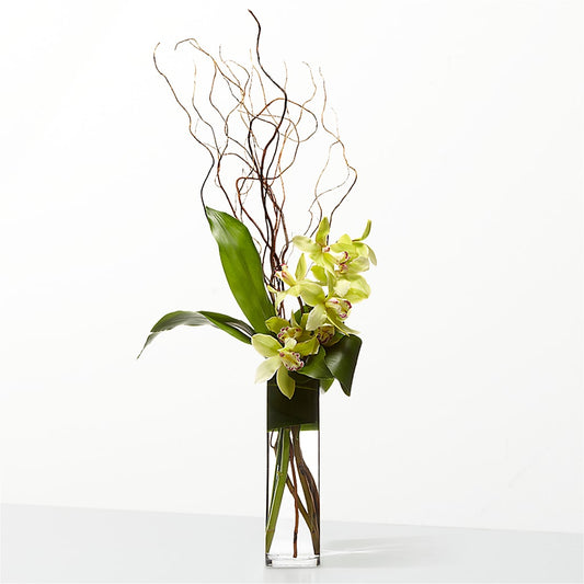 The Statement – BLOOM & CO, Gulfport FL
