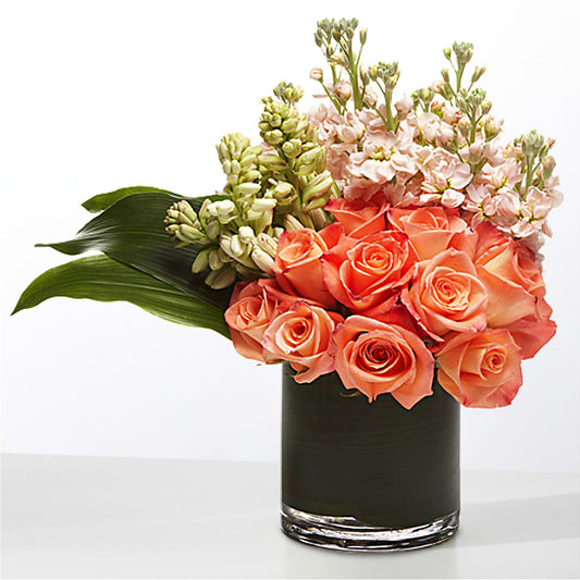 The Moment – BLOOM & CO, Gulfport FL