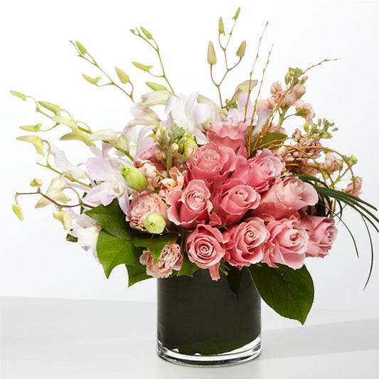 The Muse – BLOOM & CO, Gulfport FL