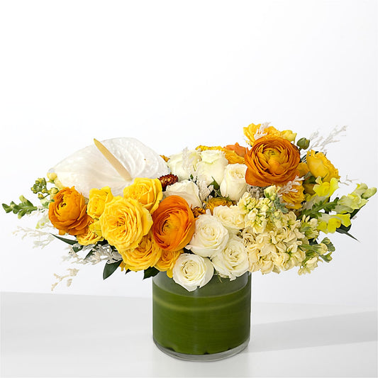 The Optimist – BLOOM & CO, Gulfport FL