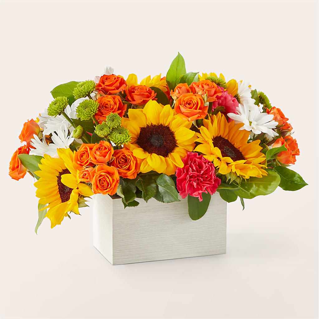 Sun-drenched Blooms Box Bouquet – BLOOM & CO, Gulfport FL