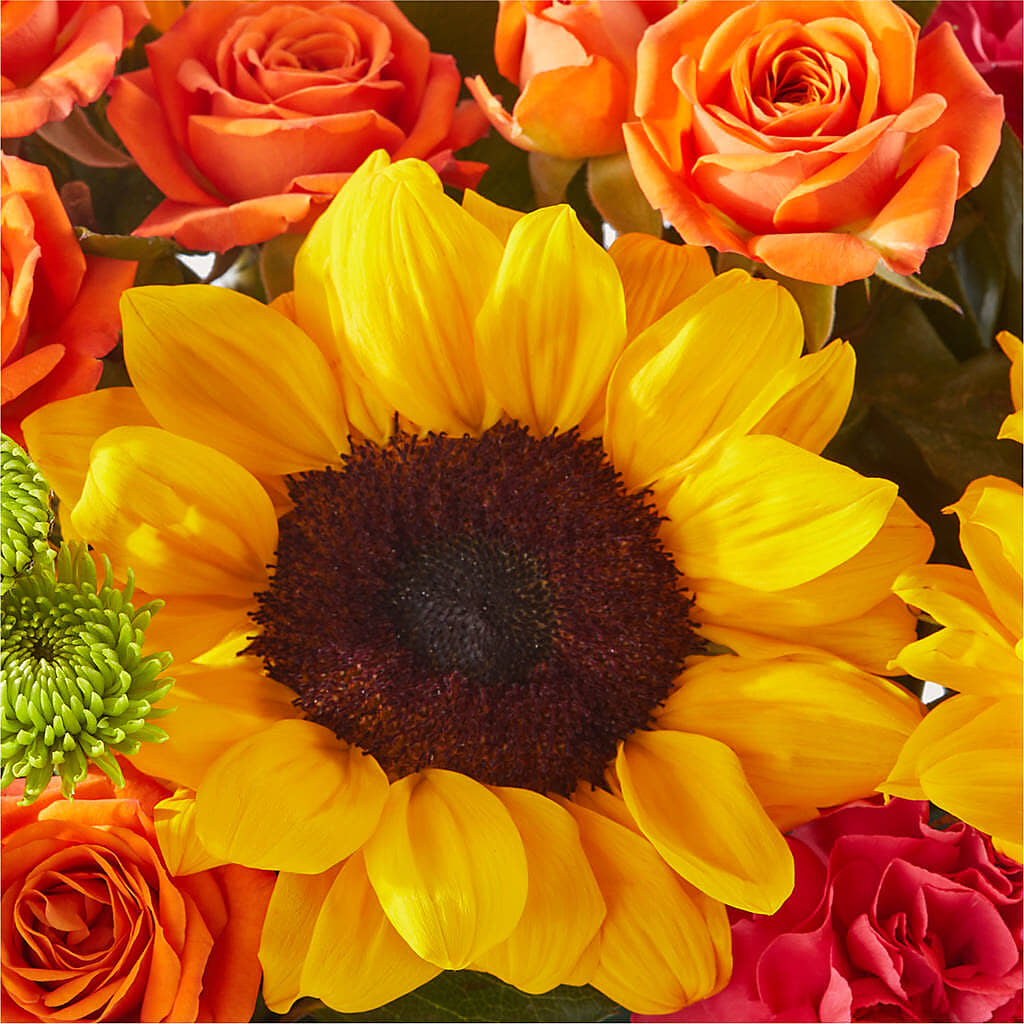 Sun-drenched Blooms Box Bouquet – BLOOM & CO, Gulfport FL