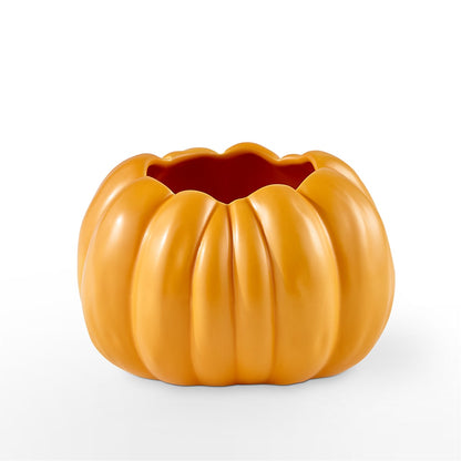 Pick of the Patch Pumpkin Bouquet – BLOOM & CO, Gulfport FL