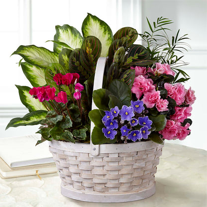 Peaceful Garden Planter – BLOOM & CO, Gulfport FL