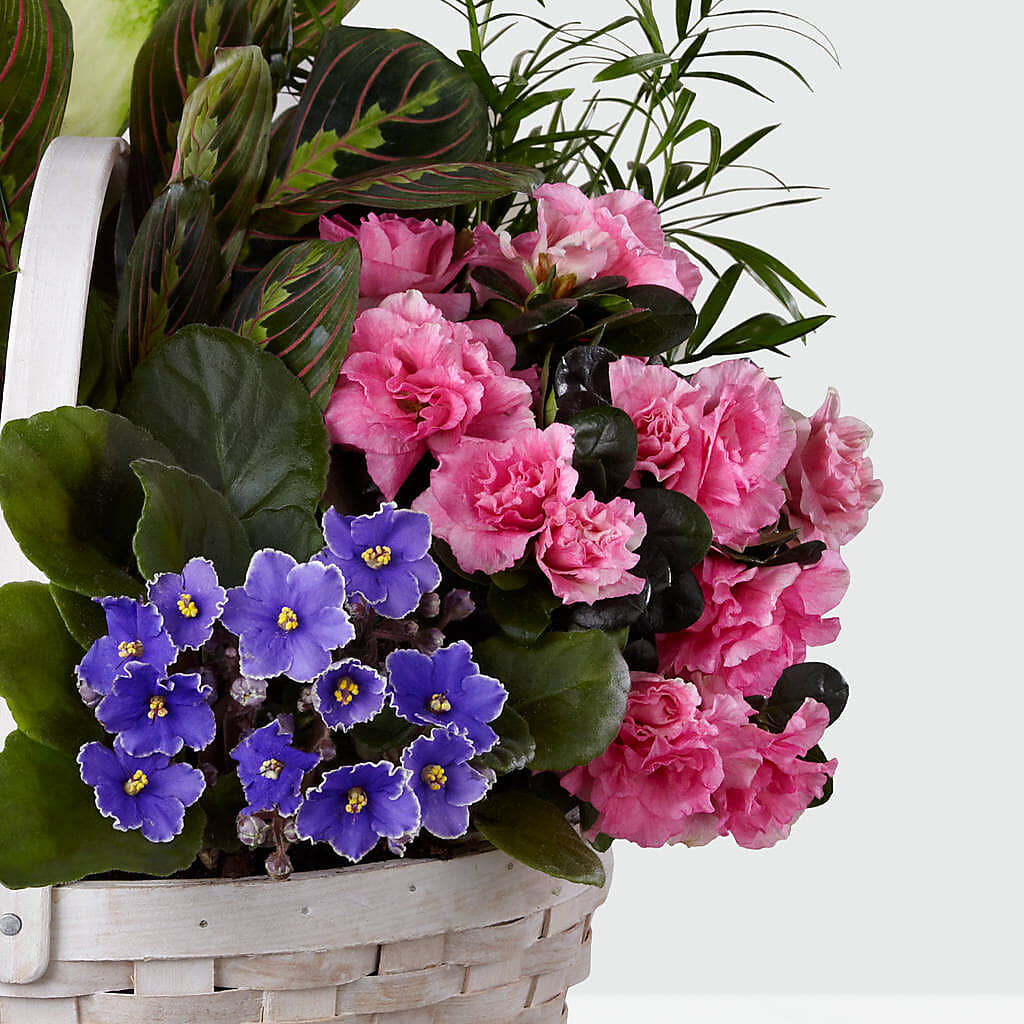 Peaceful Garden Planter – BLOOM & CO, Gulfport FL