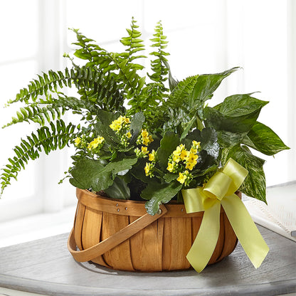 Always Dear Dishgarden – BLOOM & CO, Gulfport FL