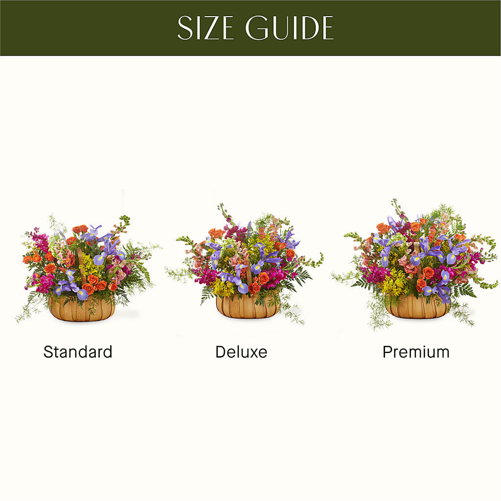 Garden of Life Basket – BLOOM & CO, Gulfport FL