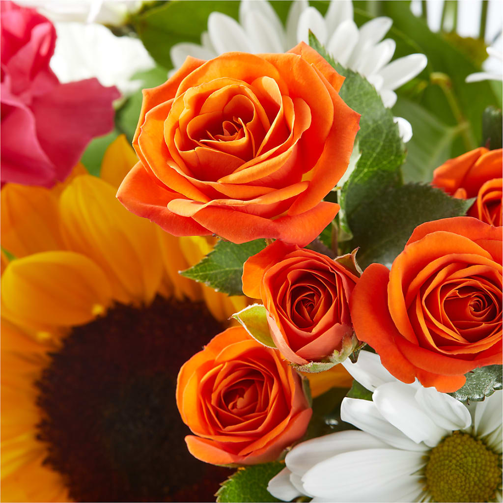 Sun-drenched Blooms Bouquet – BLOOM & CO, Gulfport FL